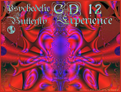 psychedelic-butterfly-experience-3dateliercom-cd12.jpg