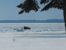 03-24-11-assemble-iceboat-04