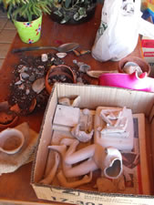 01-19-12-cat-damage-again
