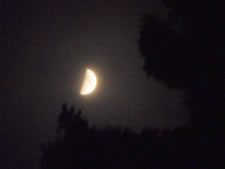 02-29-12-half-moon