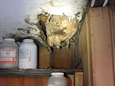 03-10-12-roof-damage-kiln-shed