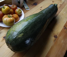 08-30-12-s-zuchinni