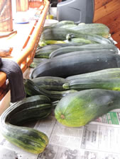 09-19-12-n-zukes