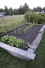 08-17-14-s-garden-02